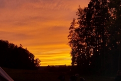 IMG-20210524-WA0042